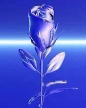 pic for Blue Metallique Rose